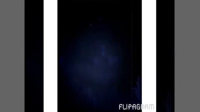 Los Muertos Halloween 2015 смотреть онлайн