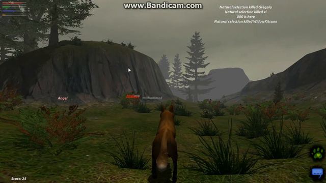 1 часть игры "Лесная жизнь" смотреть онлайн