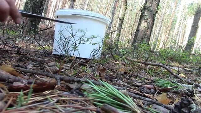 Секреты Творческой Гениальности