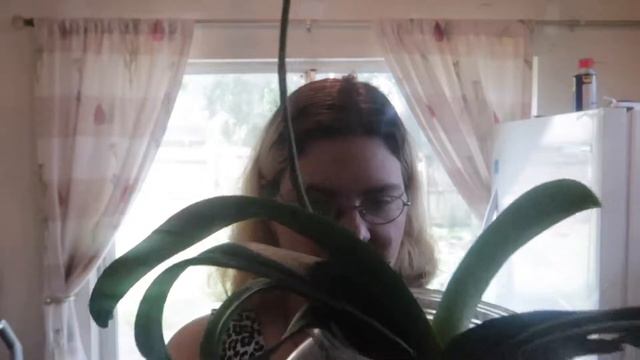 PLANT UPDATE SO MUCH GROWTH SO BEAUTIFUL смотреть онлайн