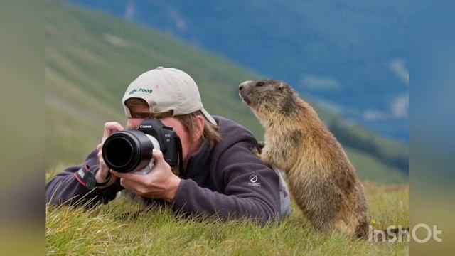 14 октября - День работников заповедного дела. Заповедники России. История и значение праздника. смотреть онлайн