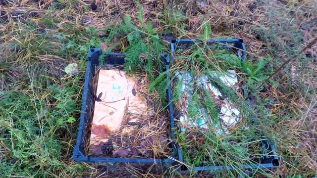 Гомельское кладбище домашних животных(осовцы) смотреть онлайн