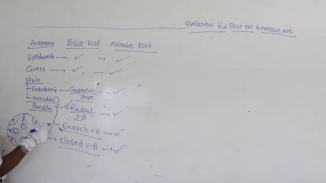 NSR IMPULSE VIDEO CLASS#jr botany#L19 смотреть онлайн