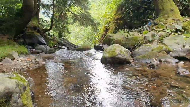 Горная Аджария. Махунцети смотреть онлайн