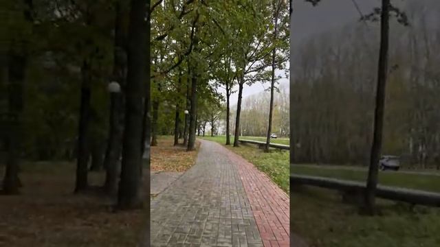 Иду считать скамейки. livestream смотреть онлайн