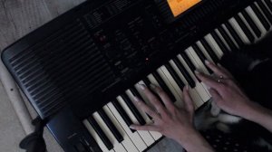 Как играть Любовь моя (Элли на маковом поле) piano cover