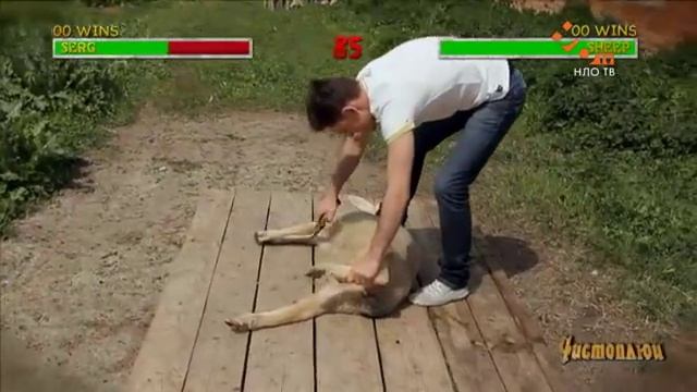 Стрижка овец | Чистоплюи смотреть онлайн