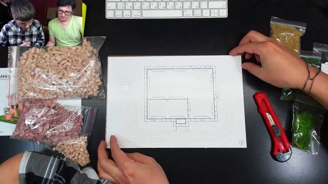 Распаковка КОНСТРУКТОРА из КИРПИЧИКОВ ALEXTERRA