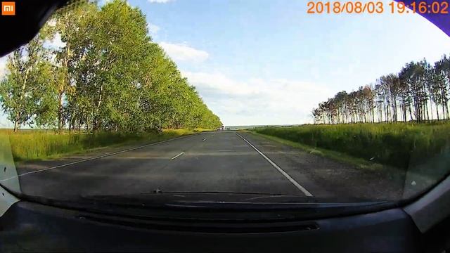 Xiaomi Мijia. Воробьи.