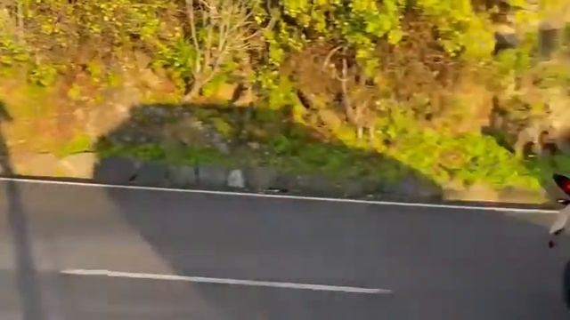 Honda Cb600F / Hornet 2003 Mivv x Cone Exhaust смотреть онлайн