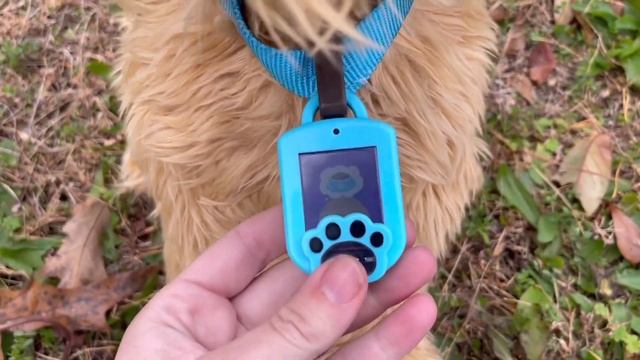 Moji the Lovable Labradoodle Interactive Realistic Robotic Dog! смотреть онлайн