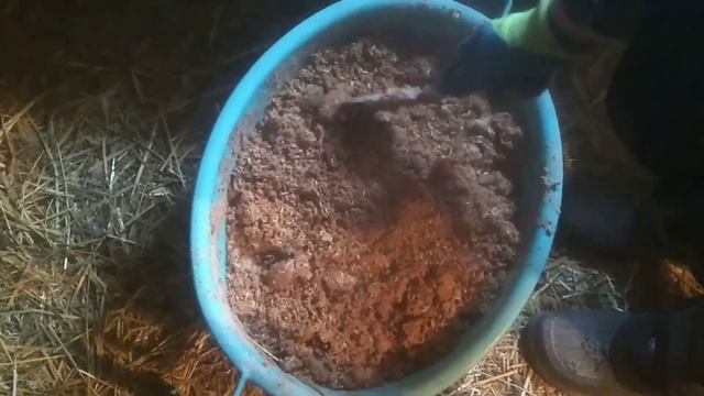 Мой зимний вариант мешанки, как приготовить. смотреть онлайн