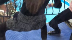 Школьницы лижут и тверкают за деньги ?