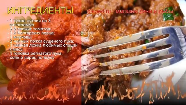 Животные в Зоопарках