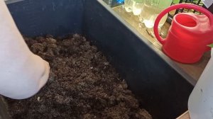 ПОЧВА ДЛЯ РАССАДЫ/КАК ПРАВИЛЬНО ПРИГОТОВИТЬ ПОЧВОБРИКЕТ 21г#212  14 апреля