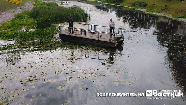 Очистка от водорослей реки Писса в г.Гусев vk.com/gusev_vestnik смотреть онлайн