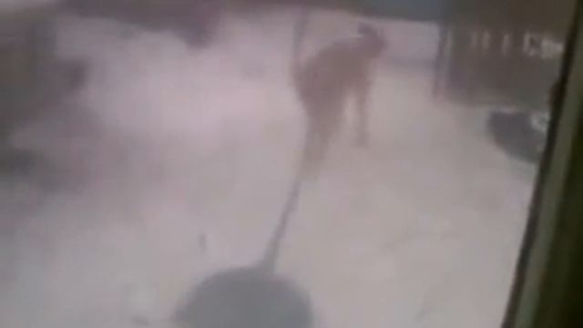 Собака решила почистить снег сама смотреть онлайн