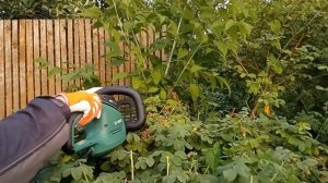 Bosch UniversalHedgeCut 50