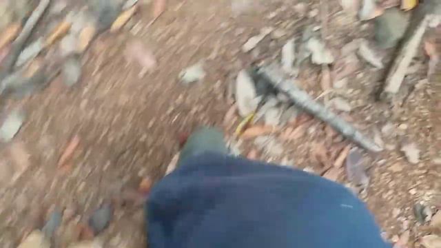 Detector de Metais Gold Monster 1000 pega fundo impressionante смотреть онлайн