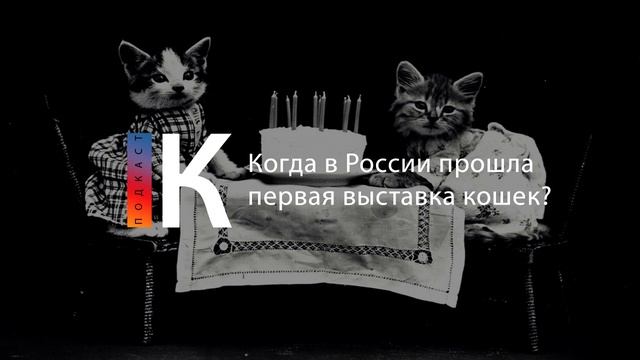 Подкаст. Когда в России прошла первая выставка кошек? смотреть онлайн