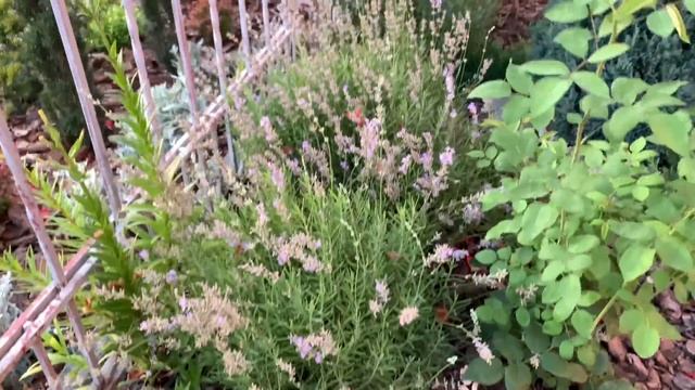 Ремонтные Комбинации