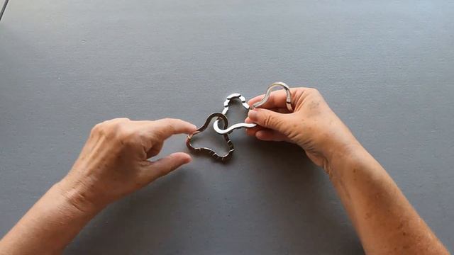 Hanayama Coaster Puzzle Solution