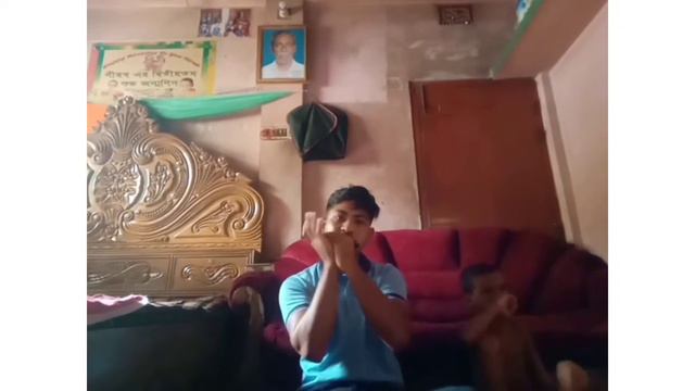 Joy radhe radhe krishna krishna (Thakur Anukul Chandra) Harmonica cover смотреть онлайн