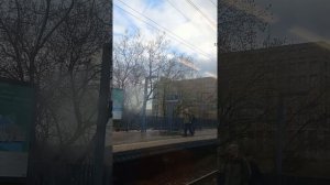 еду в Моники