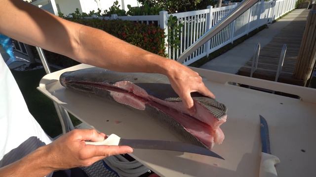 We ATE this Beach Shark! Catch Clean Cook (Blacktip Shark) смотреть онлайн