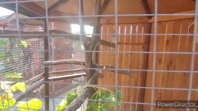 Минский зоопарк осень 2023 года смотреть онлайн