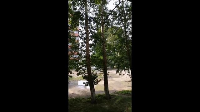 Сирена в Черногорске 28 08 2019г смотреть онлайн