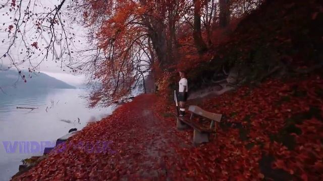 ✧✧✧VIDEOmusic✔ Melancholic House Mix смотреть онлайн