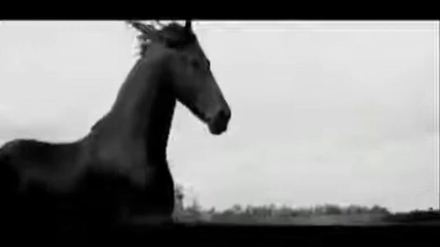 Perfume Ferrari Black Masculino Eau De Toilette