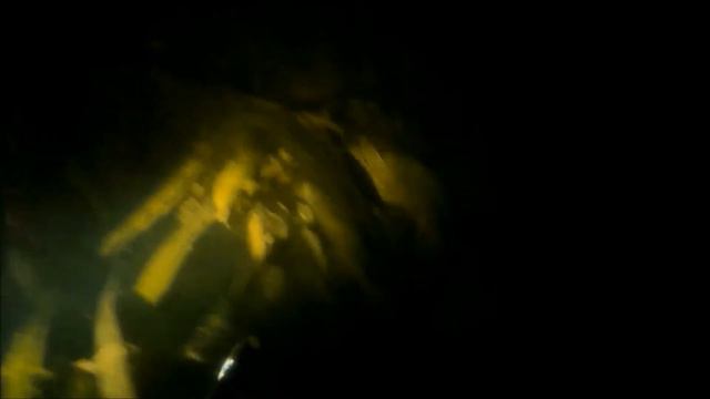 Подводная Охота Ночью! август 2018г сейм Курская обл смотреть онлайн