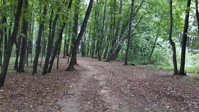 Усадьба Братцево смотреть онлайн