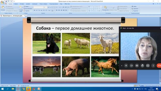 Значение млекопитающих смотреть онлайн