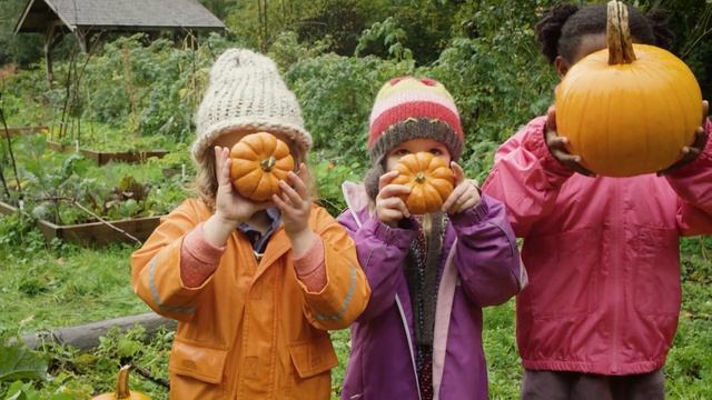 Giant Fruit ? Gumboot Kids l Learn And Discover About Nature's Giant Fruit With Your Friend Scout смотреть онлайн