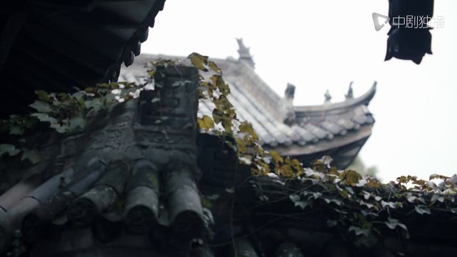 情深缘起（半生缘）09 | Half A Lifelong Romance 09（蒋欣、刘嘉玲、郑元畅、郭晓冬 领衔主演） смотреть онлайн