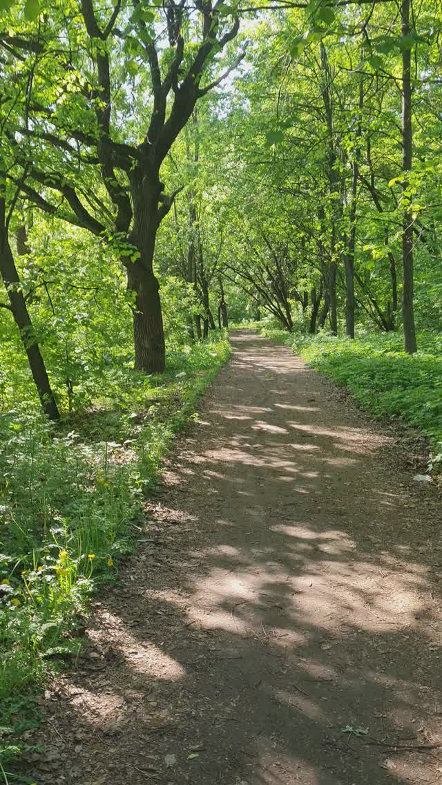 Пение птиц 24.05.2024 16:39:55 #природа