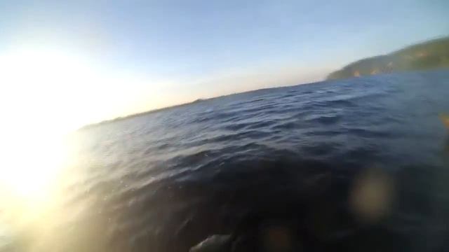 Чеганда 2016 смотреть онлайн