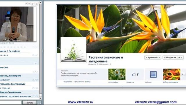 Итоговое занятие тренинга "Монетизация Facebook - 5" смотреть онлайн