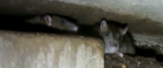 Газосварка ЖКХ. Как мы искали воду.Gas welding housing and communal services смотреть онлайн