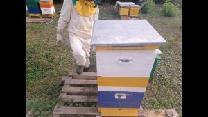 Как сохранить сушь до весны и уберечь от восковой моли