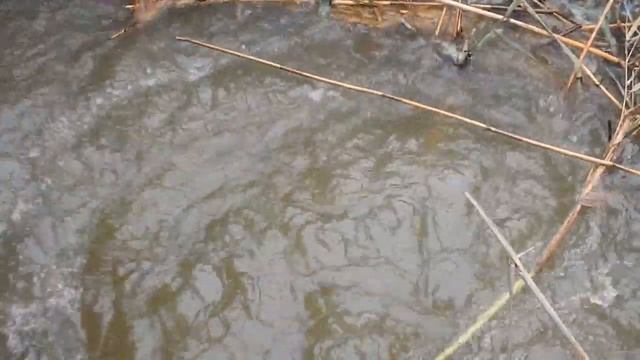 Керчь нормалёк. Движение на ж-д вокзал пустили. Речка Джарджава с берегов не выходида.