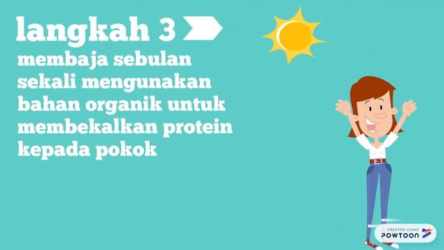 8 Step Instructions anemone смотреть онлайн