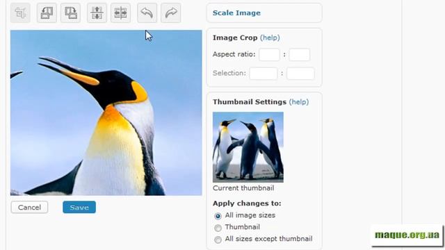 Що нового у Wordpress 2.9 - Редактор зображень смотреть онлайн