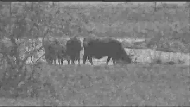 Lamar, Texas a History by Michael Gibson смотреть онлайн