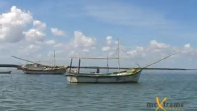 Holbox or Isla Holbox - Adventure and Wildlife смотреть онлайн