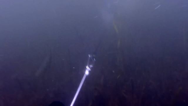 Подводная охота на водохранилище смотреть онлайн