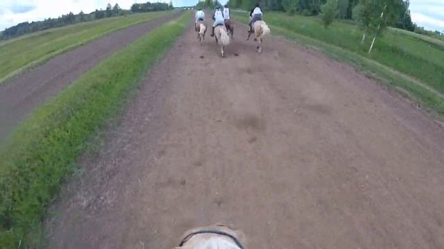 скачки на ТАТАРСКИХ лошадях глазами жокея//Актанышский район// смотреть онлайн